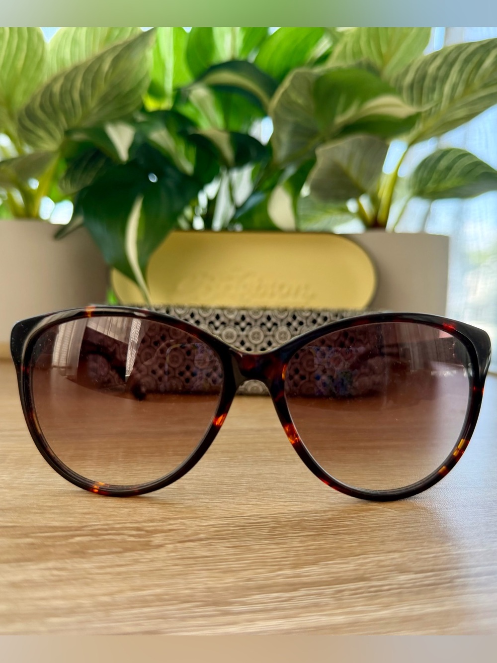 Brighton “Mamma Mia” Women's Brown Sunglasses with Patterned Case